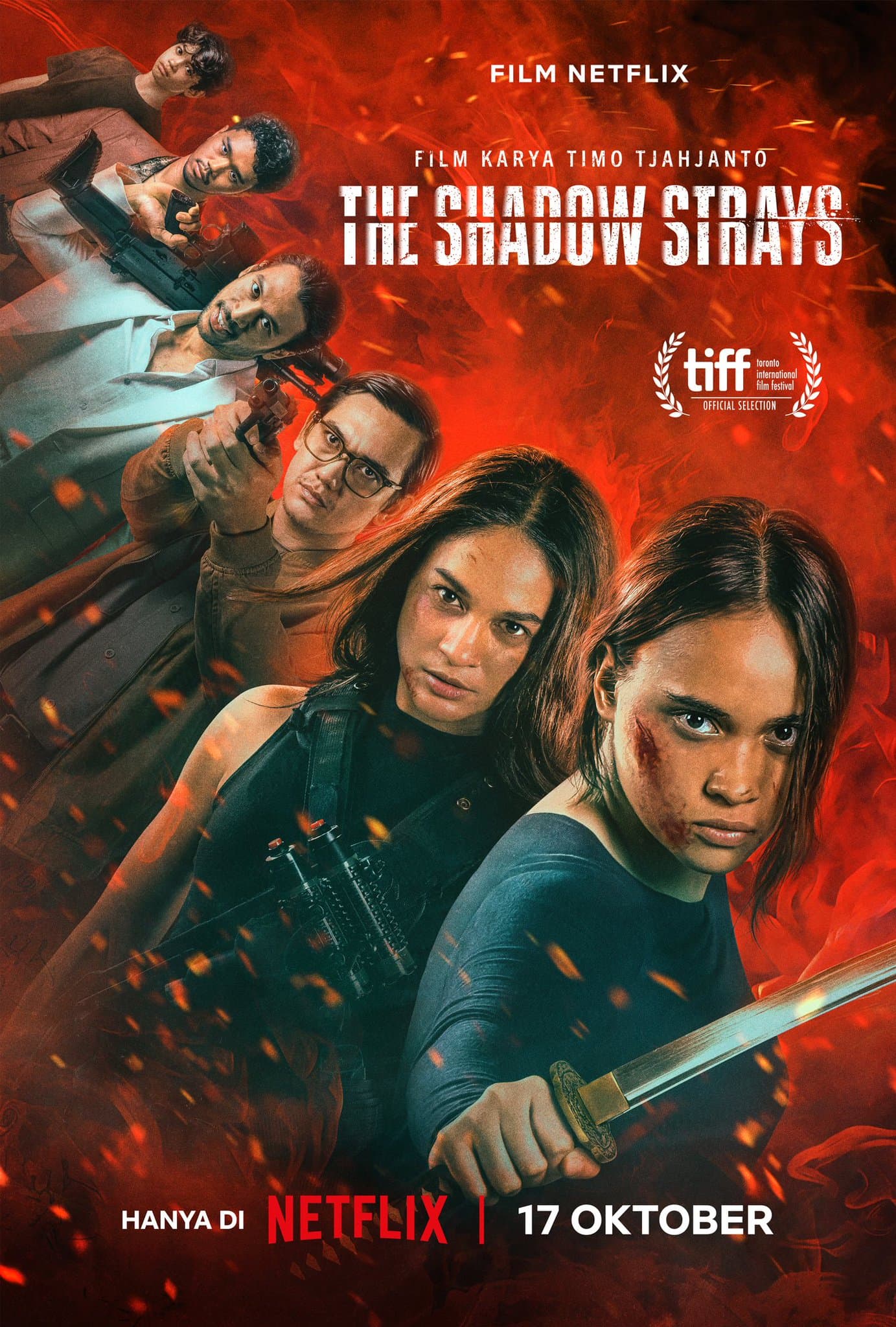 Poster of The Shadow Strays